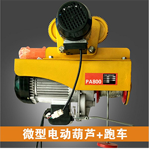 PA200-1000微型電動(dòng)葫蘆+電動(dòng)小車(chē)